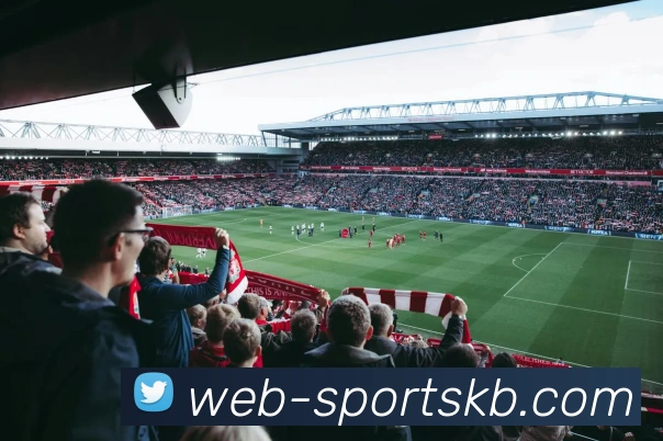 App Interface Preview